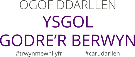 OGOF DDARLLEN YSGOL  GODRE’R BERWYN #trwynmewnllyfr               #carudarllen